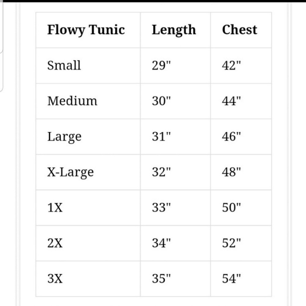 SALE LAST 1 Any 2 $20 Grey Hi Low Tunic - Picture 5 of 5